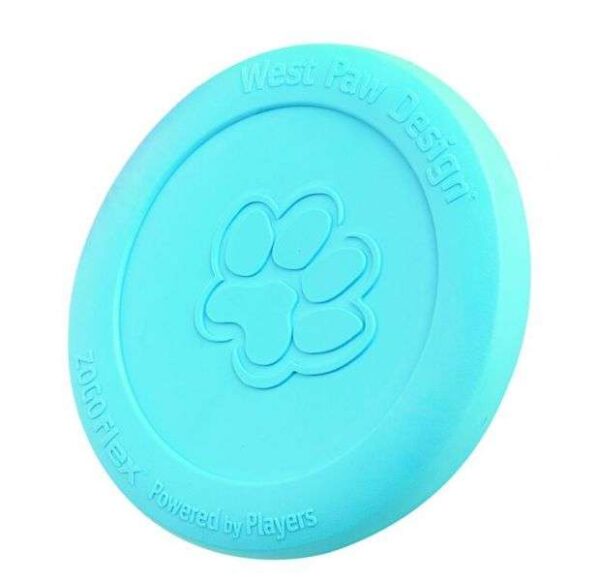 West Paw Zisc - 22 cm - Aqua